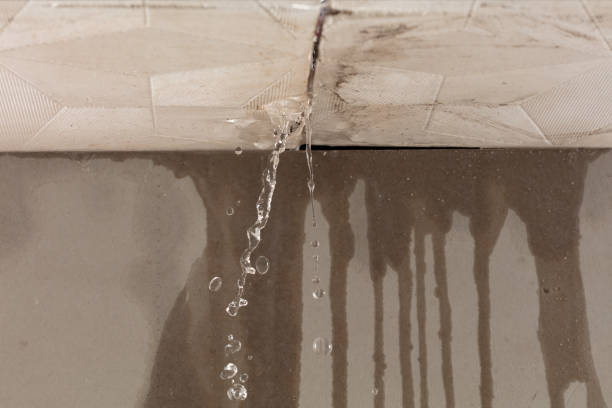 Professional Water Damage Repair technician working in McEwen, TN